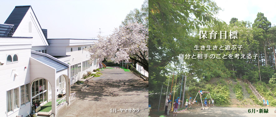 青森市　しらかば保育園　保育目標　生き生きと遊ぶ子　自分と相手のことを考える子